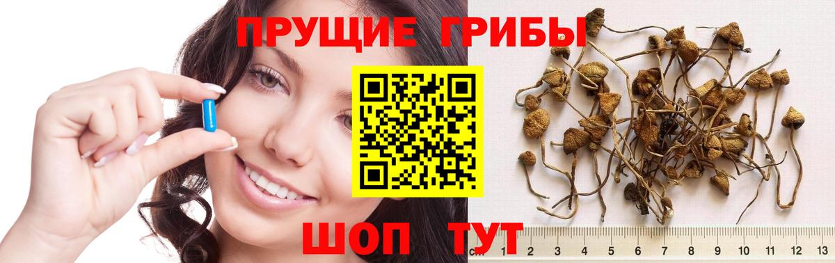 Галлюциногенные грибы мицелий  Вход с VPN  Елизово 