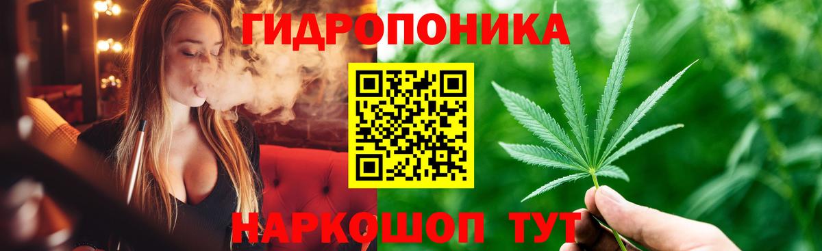 Конопля OG Kush Елизово